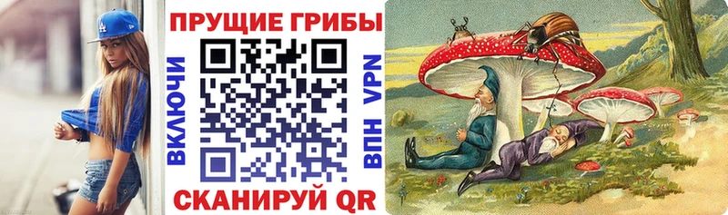 Купить закладки  Зверево  Псилоцибиновые грибы прущие грибы 
